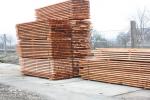Kuusk Ehituspuit | Okaspuit | Saematerjal | MP-HOLZ, s.r.o.