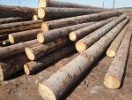 Kuusk Saepalgid | Okaspuit | Palgid | TRANS-WOOD