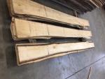 Pärn Tisleripuit |  Lehtpuit | Saematerjal | JAF HOLZ Slovakia