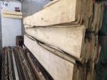 Pärn Tisleripuit |  Lehtpuit | Saematerjal | JAF HOLZ Slovakia