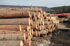 Saeveski tehnika Nurga ketassaeraam |  Spare production capacity | GEOVIN, s.r.o.