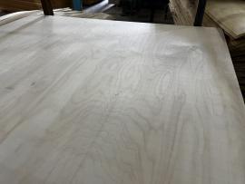 Vineer Veekindel | Suured paneelid | Forestree