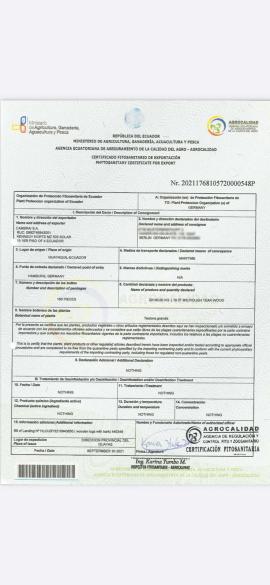 Tiikpuu Saepalgid |  Troopiline puit | Palgid | SOFT IT SP .ZO.O SPÓŁKA Z OGRANICZONĄ ODPO