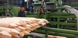 Other equipment Kompletn výroní Linka kulů . | Saeveski tehnika | Puidutööstuse masinad | Drekos Made s.r.o