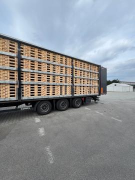 Euroalused Ühekordsed euroalused | Pakend, alused | Woodproo s.r.o.