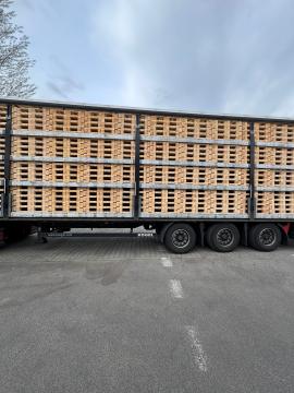 Euroalused Ühekordsed euroalused | Pakend, alused | Woodproo s.r.o.