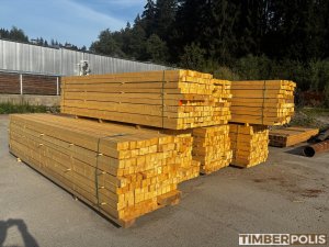 Euroaluste puit