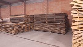 Tamm Tisleripuit |  Lehtpuit | Puit | ZEOS Jevicko s.r.o.