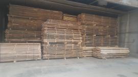 Tamm Tisleripuit |  Lehtpuit | Puit | ZEOS Jevicko s.r.o.