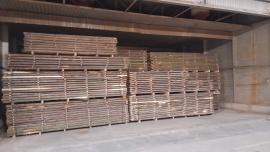 Tamm Tisleripuit |  Lehtpuit | Puit | ZEOS Jevicko s.r.o.