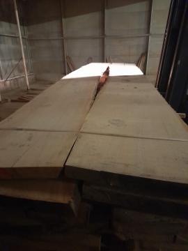 Tamm Tisleripuit |  Lehtpuit | Puit | ZEOS Jevicko s.r.o.