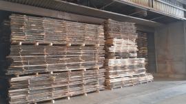 Tamm Tisleripuit |  Lehtpuit | Puit | ZEOS Jevicko s.r.o.