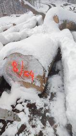 Maple Saw logs |  Hardwood | Logs | Gazdovské lesy-Vyšná Rybnica poz. spol.