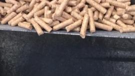 Graanuliveski Peletovací linka   |  Puidujääkide töötlemine | Puidutööstuse masinad | Pila Hradec 