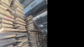 Tamm Tisleripuit |  Lehtpuit | Puit | ZEOS Jevíčko s.r.o.