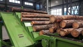 Other equipment Kompletn výroní Linka kulů . |  Saeveski tehnika | Puidutööstuse masinad | Drekos Made s.r.o